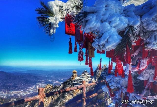 狠人我白哥,胜仗打得多,单排上分相当快,对手见了直哆嗦